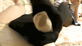 043727icga8amjjjiuzunz.gif